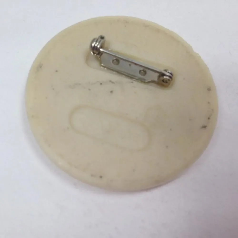 Vintage Avon Floral Scene Sandstone Ceramic Enamel Brooch